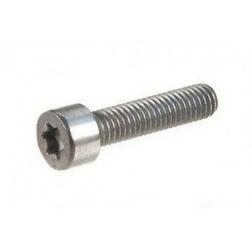 болт м6x25 torx vag