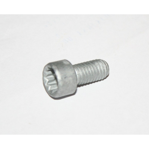 болт м8x5*1.25 spline vag