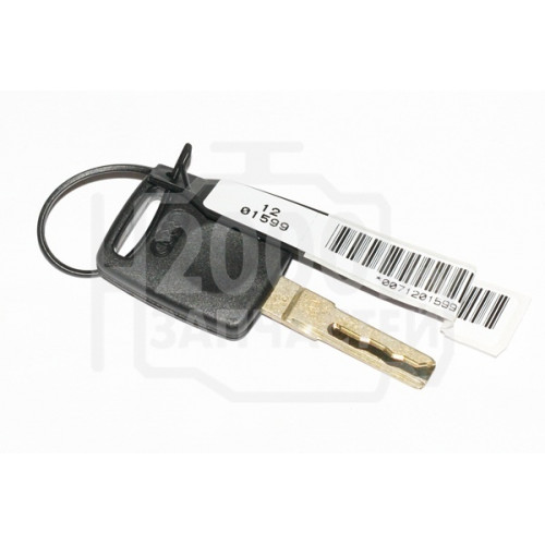 ключ audi a2 a4 a6 a8