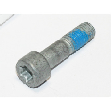 болт м8x30 torx vag