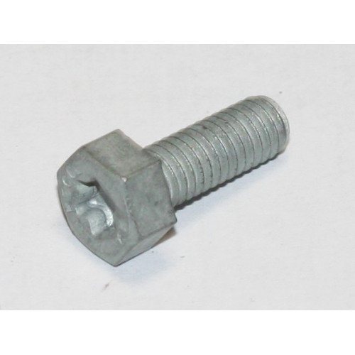 болт м6x6 кл10+torx vag