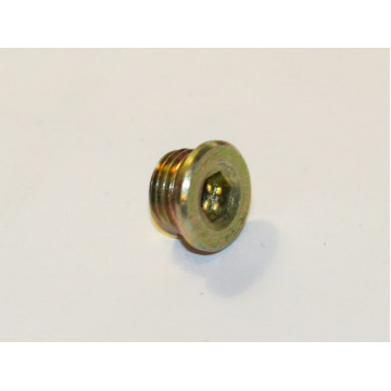 пробка м10*1 поддон двигателяа chery s11