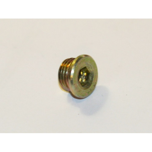 пробка м10*1 поддон двигателяа chery s11