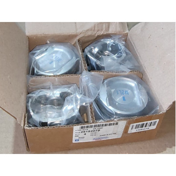 поршень chevrolet spark m300 lmu, mfm, kl7, nu7